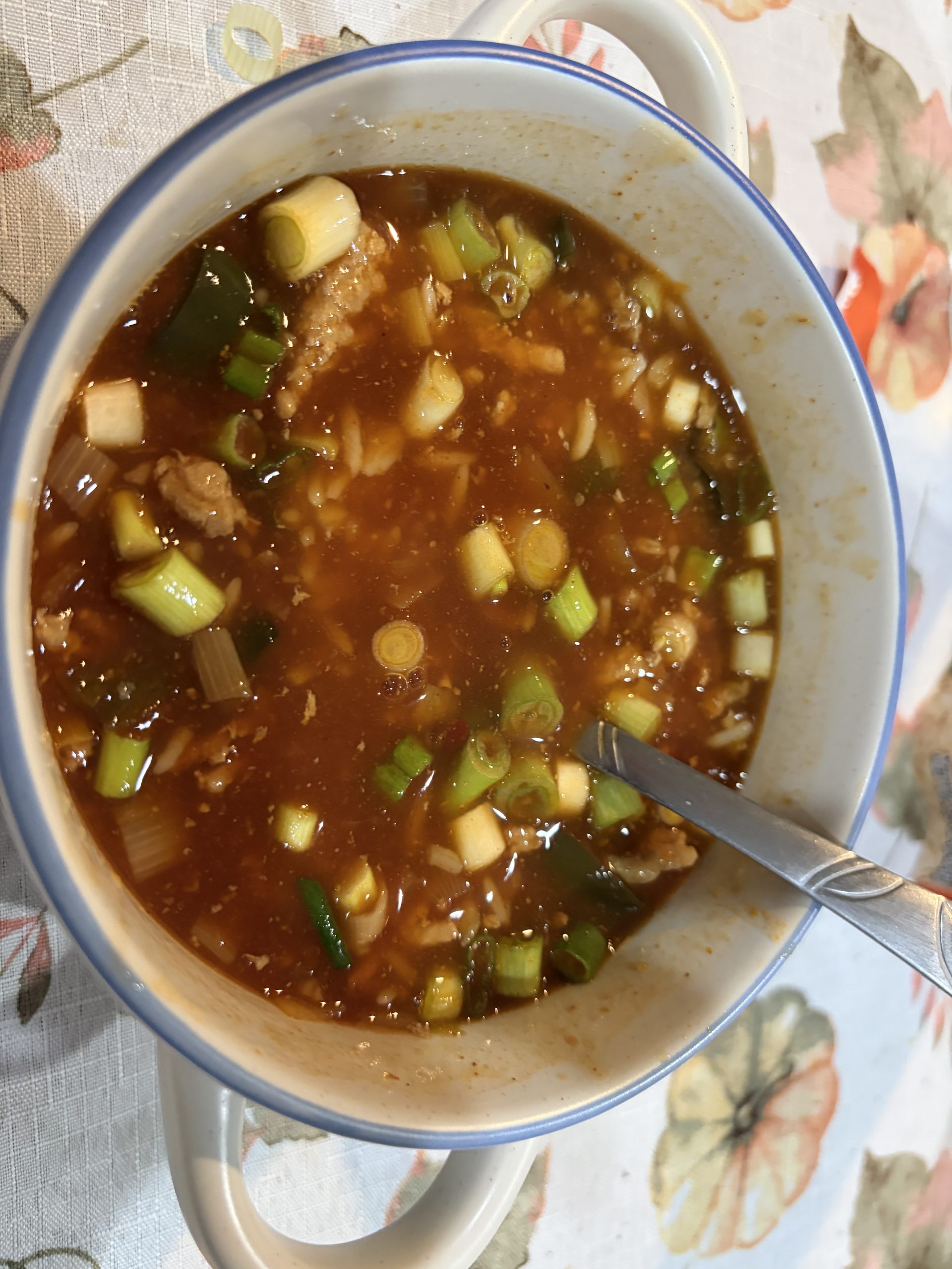 Mongolian soup